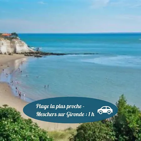 Nymphaea - Wifi & Clim - Chelona'loc