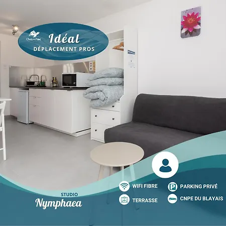 Nymphaea - Terrasse & Clim - Chelona'loc